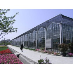 山東連棟溫室施工【山東連棟溫室設計】山東連棟溫室建造