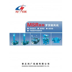 供應鑄鐵鋼100羅茨鼓風機