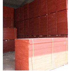 宜春膠合板——廣西地區性價比*高的建筑模板怎么樣