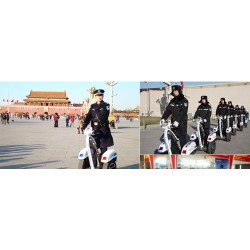 新款新世紀機器人哪里買：哪兒有新世紀機器人價格