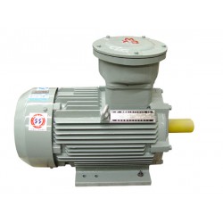 優(yōu)秀的高效電機(jī)——哪里可以買(mǎi)到特價(jià)YBXn系列高效率隔爆型三相異步電動(dòng)機(jī)