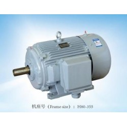 專業(yè)的閥門(mén)電機(jī)，哪里可以買(mǎi)到精湛的YE2系列三相異步電動(dòng)機(jī)