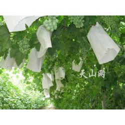 廠家推*新疆專用葡萄套袋，優質的新疆專用葡萄套袋市場價格情況