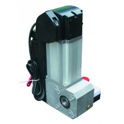 專業的麒麟工業門電機