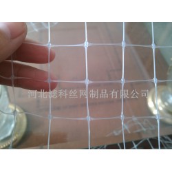 人氣新品，誠意來襲★雙向拉伸塑料網