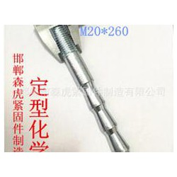 M20定型化學錨栓供應廠家 想買價位合理的M20定型化學錨栓，就來森虎緊固件