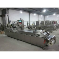 DRZ-420全自動連續拉伸真空包裝機