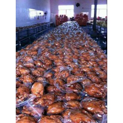 全自動真空包裝機專業生產歡迎