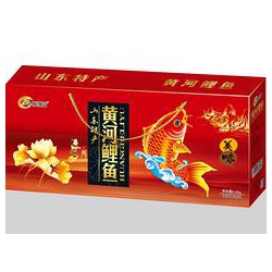 中高檔禮盒代理商_濰坊暢銷的黃河鯉魚批發