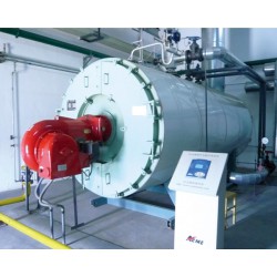 泰安哪里有供應專業的WNS系列燃油燃氣鍋爐，福建燃氣常壓鍋爐