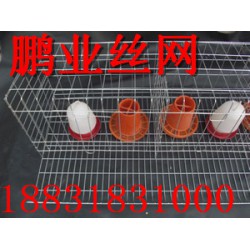 蛋雞籠規格 專業養殖蛋雞籠是由鵬業絲網提供