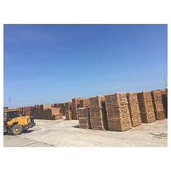 優質的鐵杉木料，廠家火熱供應|安徽鐵杉自然風干