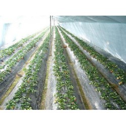 甘肅地膜生產廠家報價_西北地膜廠家