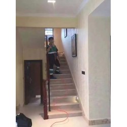 優質的洪山除甲醛|湖北有口碑的花與葉專業治理甲醛[推*]