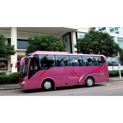 出口大金龍客車，買質量可靠的大金龍客車當然是到廈門龍捷通了