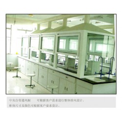 怎么買優(yōu)質(zhì)的實(shí)驗(yàn)室通風(fēng)柜呢  ，南寧實(shí)驗(yàn)室通風(fēng)柜