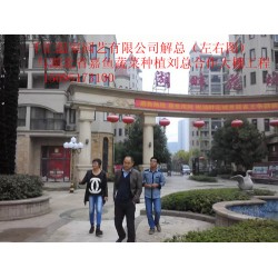 濰坊可信賴的蔬菜大棚建造公司，當(dāng)屬千匯溫室——蔬菜大棚造價