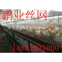優質鐵絲肉雞籠廠家在衡水：中國肉雞籠