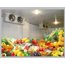 銅陵瓜果冷庫設備【好的選擇】銅陵瓜果冷庫造價 銅陵瓜果冷庫哪家好