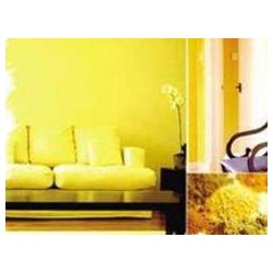 環保漆哪家好|實惠的環保凈味漆火熱供應中