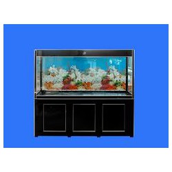 萬寶玻藝制品廠提供具有口碑的生態魚缸加工服務，同行中的姣姣者：煙臺生態水族箱