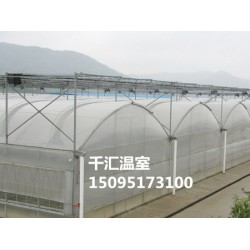 玻璃溫室大棚：高性價薄膜溫室大棚