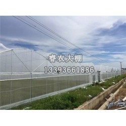 全新溫室大棚推*，大棚安裝廠家