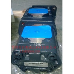 【供應】高壓齒輪油泵,裝載機齒輪泵,雙聯(lián)齒輪油泵,三聯(lián)齒輪油泵-青州佳和液壓