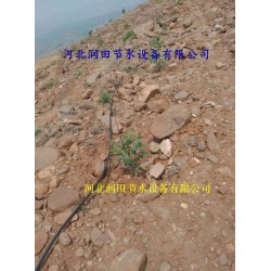 絳縣果樹滴灌PE管|小管出流、網式過濾器|配套促銷