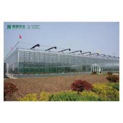 智能溫室大棚建設——專業的溫室大棚推*