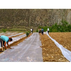 地膜廠家_區域規模大的地膜生產廠家