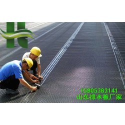 濰坊單面車庫排水板山東專業排水板廠家供應