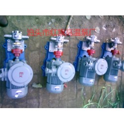 YCB4-0.6型齒輪油泵 大量生產供應 泊頭紅旗高溫齒輪泵