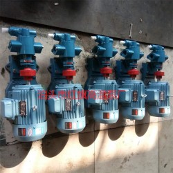 專業齒輪油泵 泊頭紅旗YCB系列油泵 YCB8-1.6型油泵