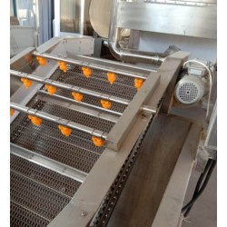 葡萄清洗機，葡萄罐頭加工設備