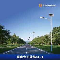節(jié)能型鋰電智能8-10米50W太陽(yáng)能LED路燈L1廠家直銷(xiāo)