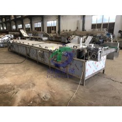 黃桃漂燙機(jī) 罐頭加工設(shè)備廠家專業(yè)定制