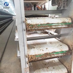 雞糞養(yǎng)殖專用pvc輸送帶