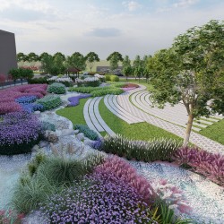 武漢室外苗木養護商場綠植租擺，苗木銷售寫字樓綠化價格