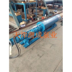 天津水池100方臥式潛水泵（帶井筒，支架）潛成泵業廠家直銷