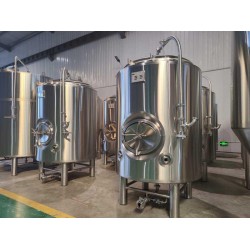 山東天泰清酒罐啤酒設備廠家直供可定制