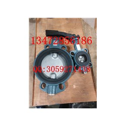 價(jià)格優(yōu)惠德國(guó)依博羅廠家直銷手柄蝶閥Z011-A