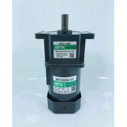 5IK120GU-CW 定速馬達ASTK牌當天發