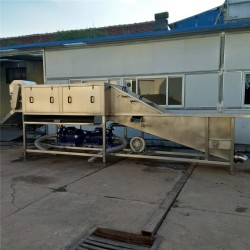 全自動(dòng)洗姜機(jī)器 廠家定制洗姜設(shè)備 生姜清洗機(jī)