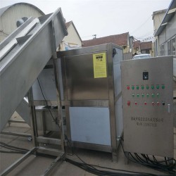 凍盤(pán)破碎機(jī) 破碎絞肉一體機(jī) 破碎提升生產(chǎn)線