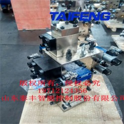 山東泰豐液壓供應(yīng)油壓機(jī)二通插裝閥YN32-315HGLBCV