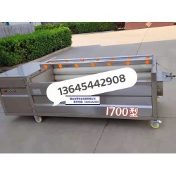 芥菜毛輥清洗機哪里有