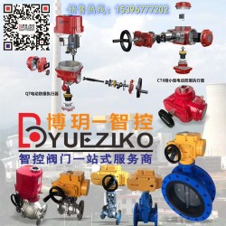 精小型斷電復位BYS-DD60S開關無源型電動閥門執行器