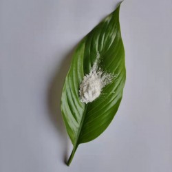 導(dǎo)熱用納米氧化鋁粉 99.99%活性三氧化二鋁