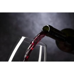 45°仰望葡萄酒時，你到底在觀察些什么？